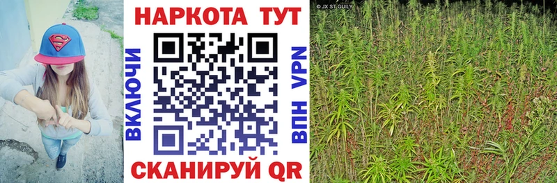Купить Баксан ГАШ МАРИХУАНА КОКАИН A-PVP АМФ Мефедрон