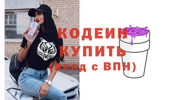 стаф Балахна