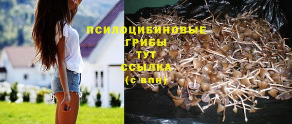 стаф Балахна