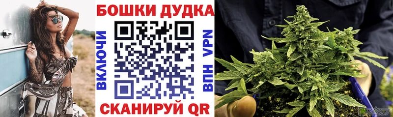 это как зайти  Баксан  Шишки марихуана индика 
